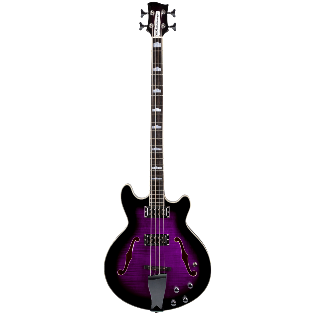 Bass Guitars Chowny Bass
