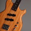 SWB-1 Scott Whitley Signature Fretless - Image 2